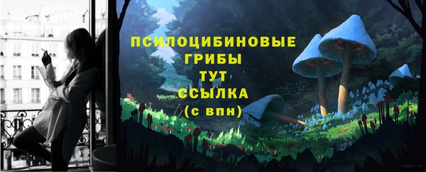 прущий лед Балахна